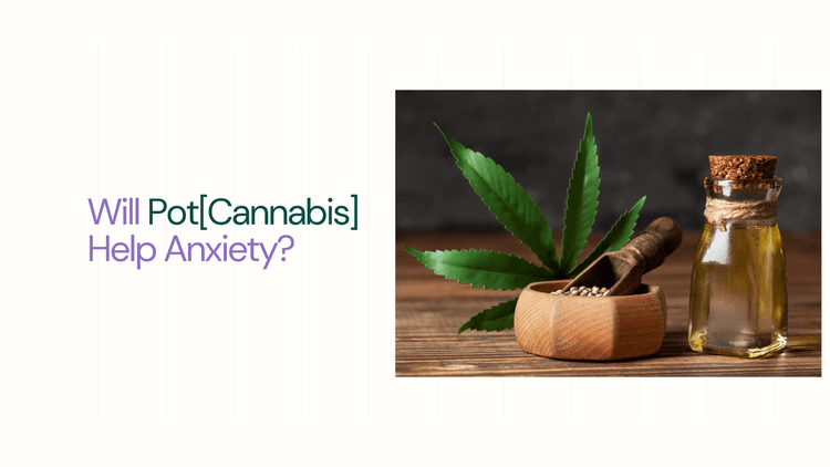 Cbd treatment arrangement still life - Will Pot[Cannabis] Help Anxiety?